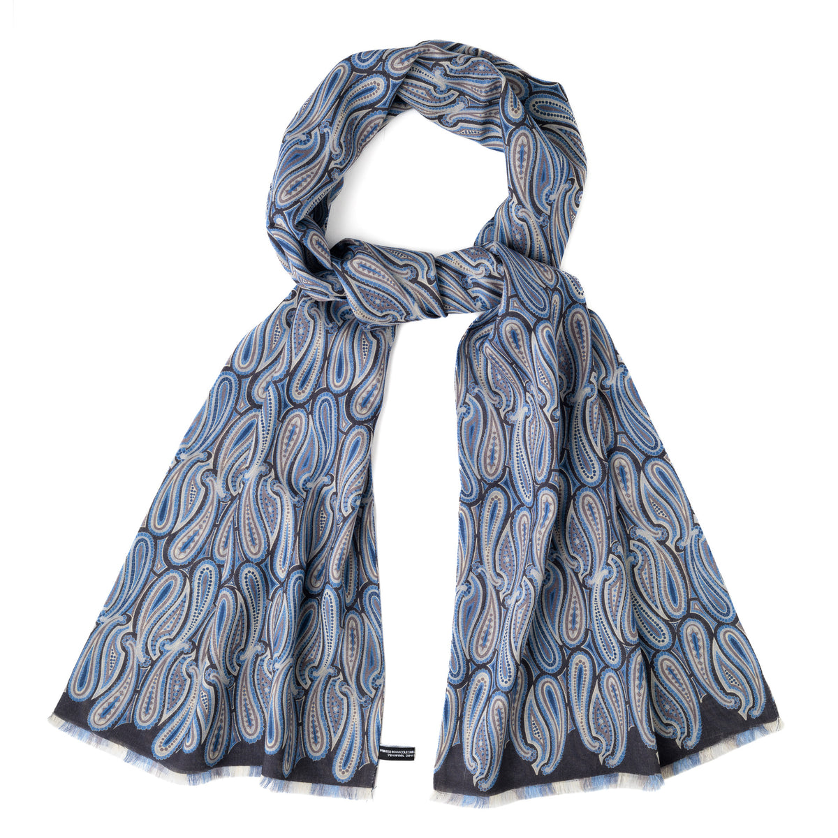 Modern Paisley Scarf