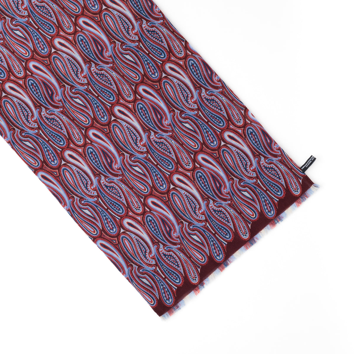 Modern Paisley Scarf