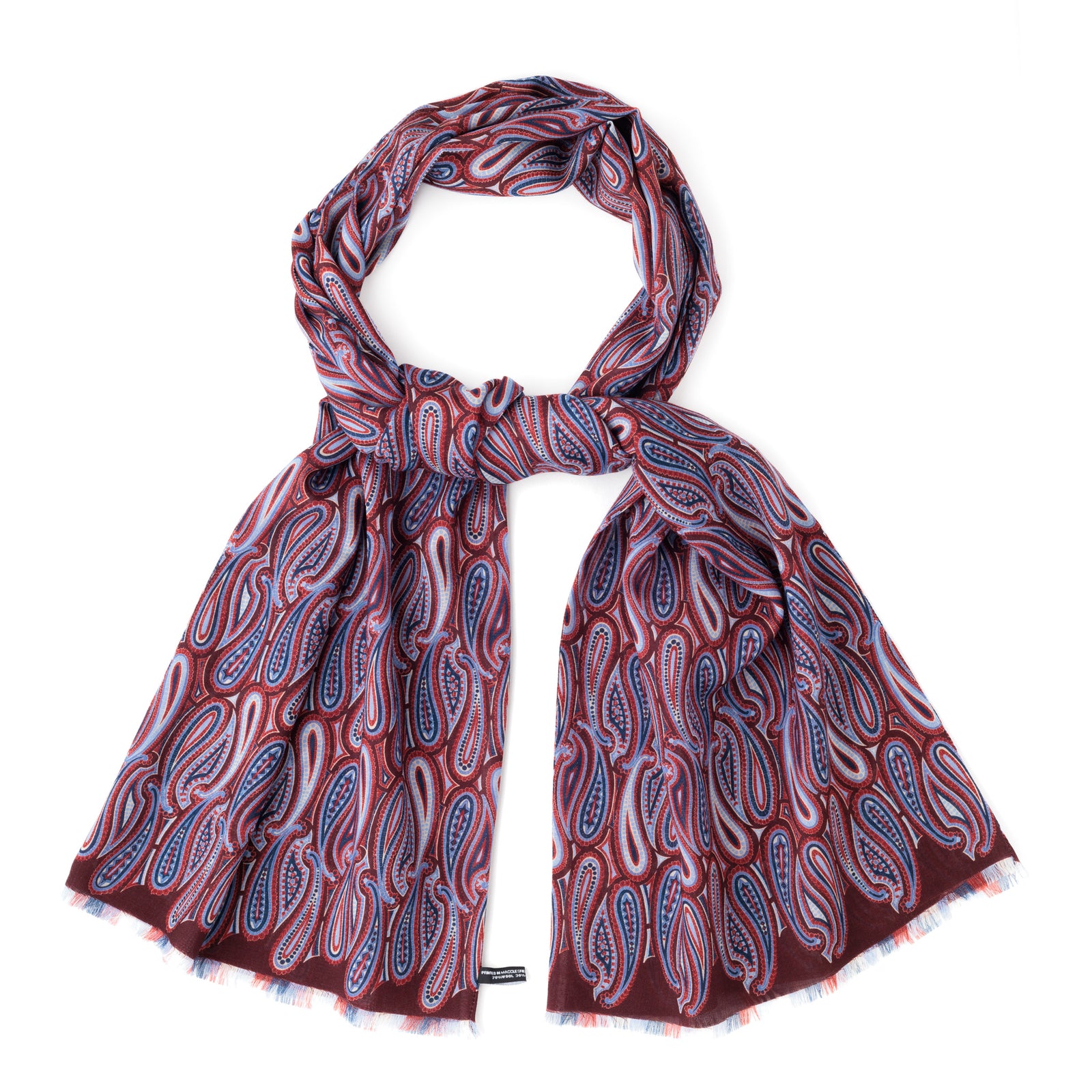 Modern Paisley Scarf